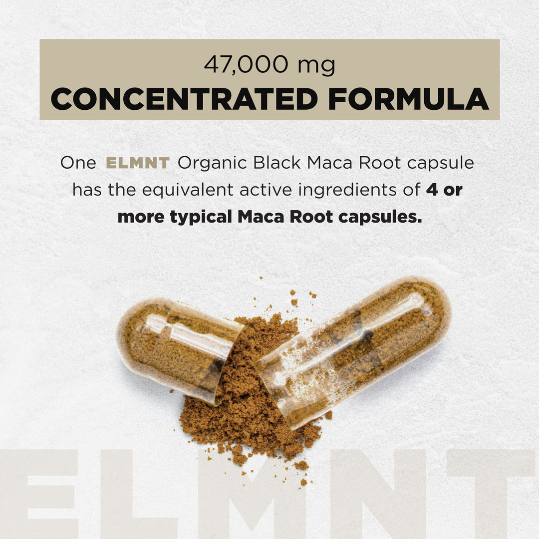 TERRA ELMNT