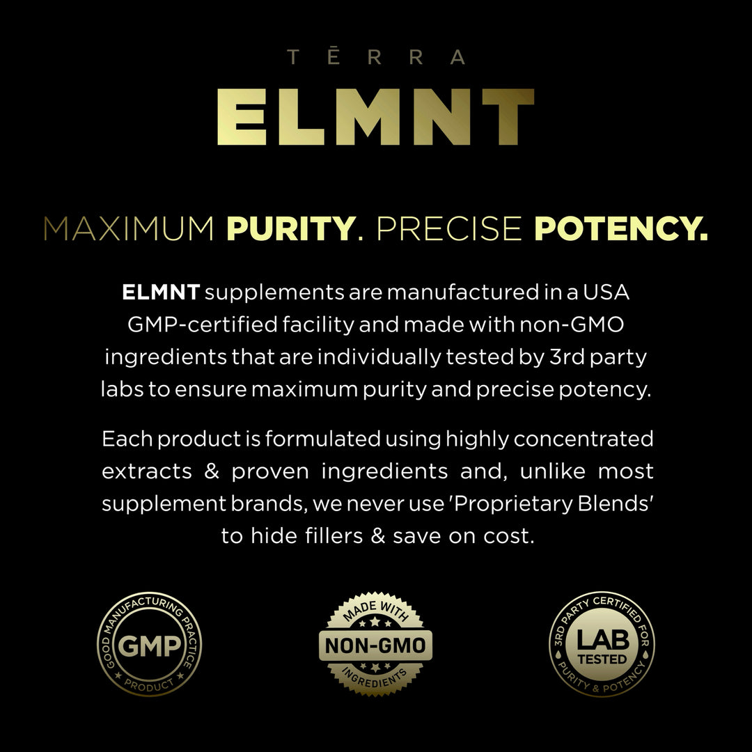 TERRA ELMNT