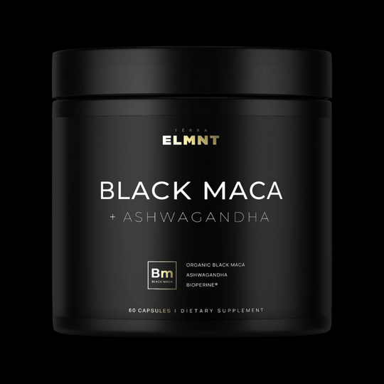 TERRA ELMNT