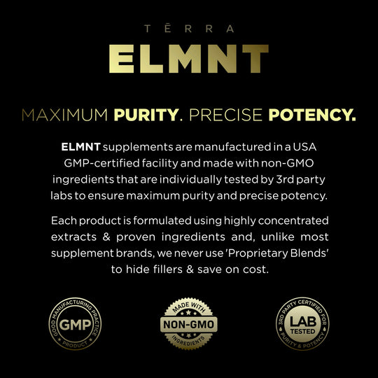 TERRA ELMNT