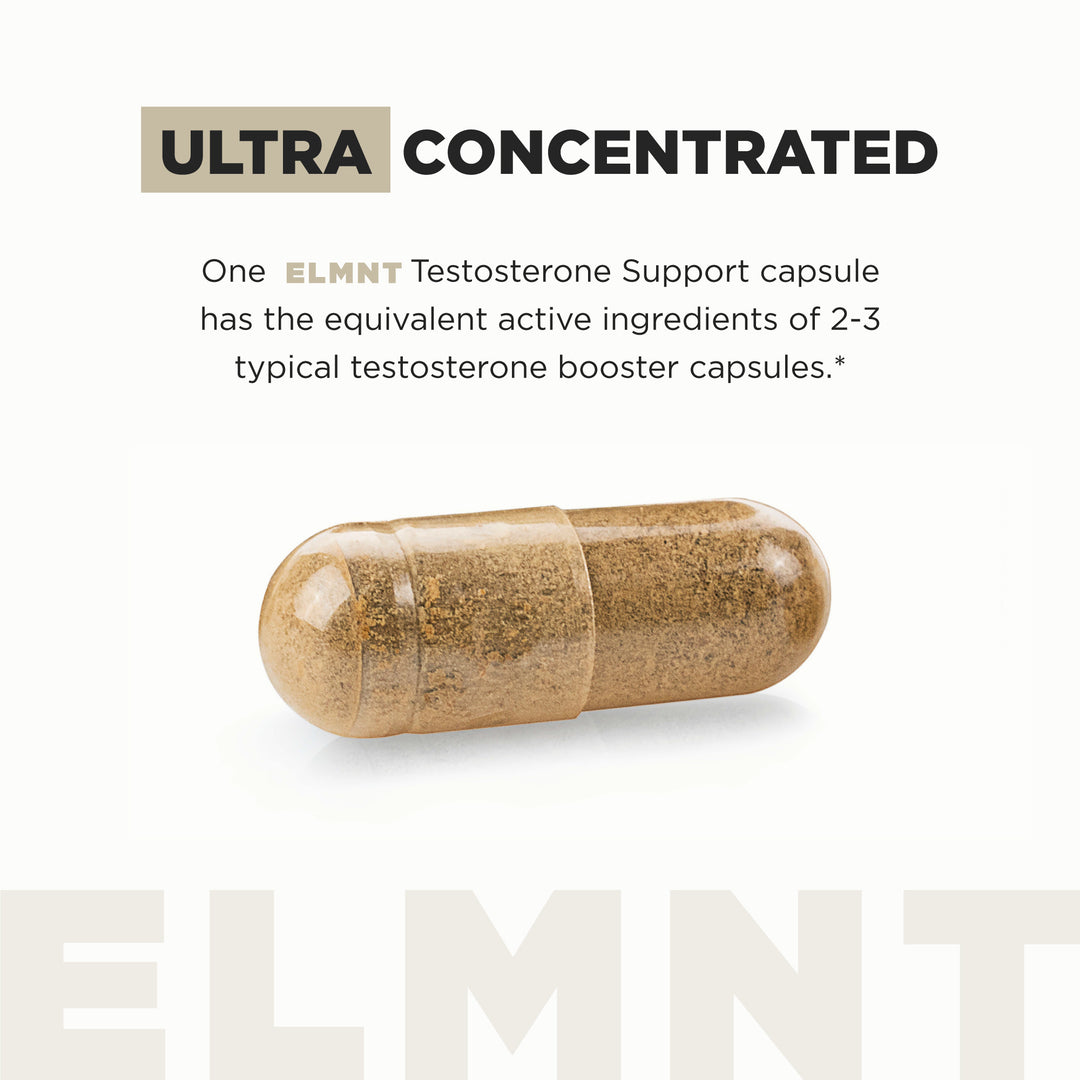 TERRA ELMNT